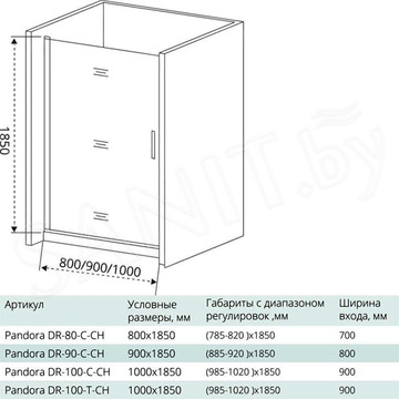 Душевой уголок Good Door Pandora DR + SP C-CH 100