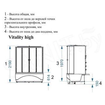 Душевая кабина Domani-Spa Vitality high тонированная