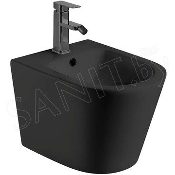 Подвесное биде WeltWasser Salzbach 005 MT-BL