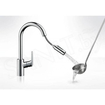 Смеситель для кухонной мойки Hansgrohe Focus 31815000 / 31815800