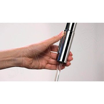 Смеситель для кухонной мойки Hansgrohe Focus 31815000 / 31815800