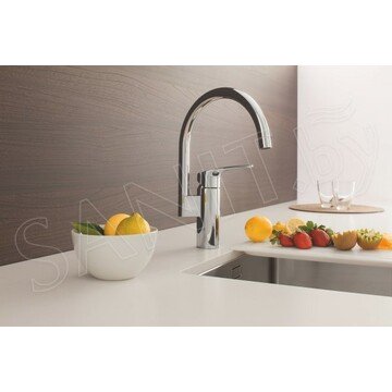 Смеситель для кухонной мойки Grohe Eurosmart 33202003