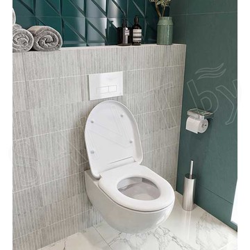 Подвесной унитаз Duravit Rimless Architec 45720900A1