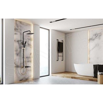 Душевая стойка Lemark Swan LM5462BG