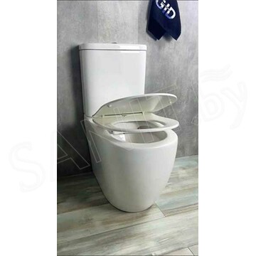 Напольный унитаз Gid Tr2177 с сиденьем Soft Close