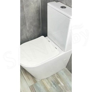 Напольный унитаз Gid Tr2179 с сиденьем Soft Close