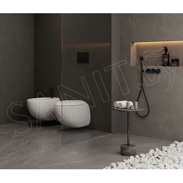 Подвесной унитаз Sanita Luxe Ringo Rimless (с крышкой SoftClose)