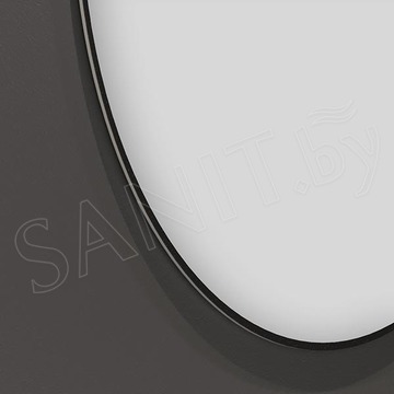 Зеркало Wellsee 7 Rays' Spectrum круглое черный контур