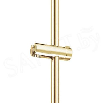 Душевая штанга Rea Gold REA-P5981