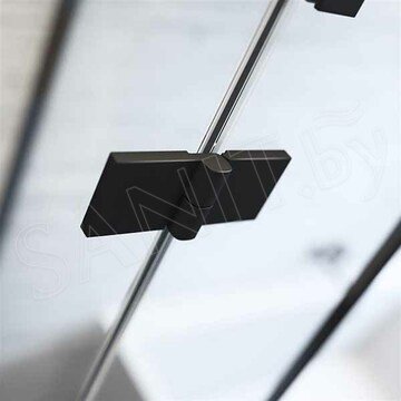 Душевая дверь Radaway Essenza New Black DWJ