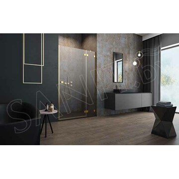 Душевая дверь Radaway Essenza Pro Gold DWJ