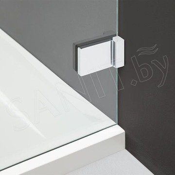 Душевая дверь Radaway Arta DWS