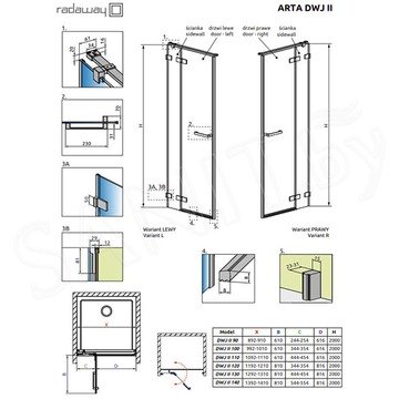 Душевая дверь Radaway Arta DWJ II