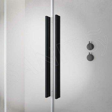 Душевая дверь Radaway Furo Black DWJ
