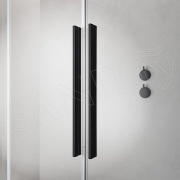 Душевая дверь Radaway Furo Black DWD