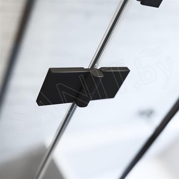 Душевой уголок Radaway Essenza New KDJ+S Black 100 + S1 + S1