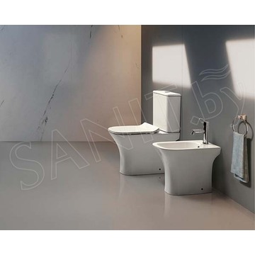 Напольный унитаз Cerutti Vettore MW CT9240 безободковый с крышкой Soft Close
