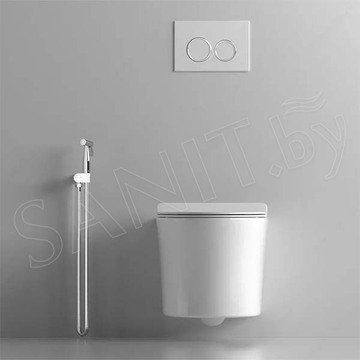 Подвесной унитаз Cerutti Adige Aria MW CT9245 / Adige Aria CT7837 безободковый с крышкой SoftClose
