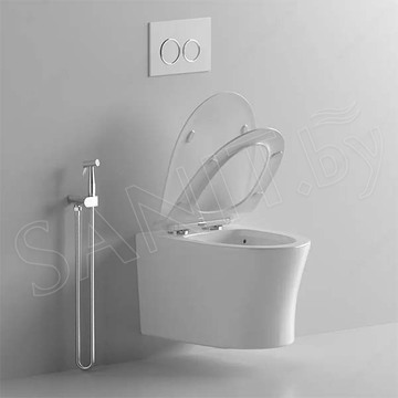 Подвесной унитаз Cerutti Adige Aria MW CT9245 / Adige Aria CT7837 безободковый с крышкой SoftClose
