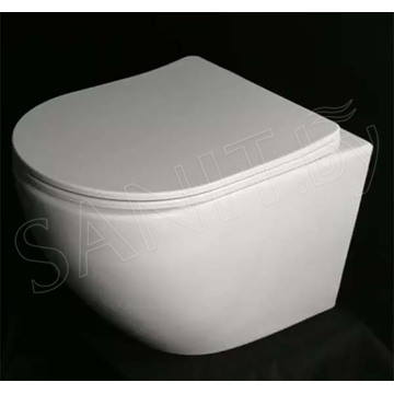 Подвесной унитаз Cerutti Sella Aria CT7183 безободковый с крышкой SoftClose