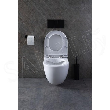 Подвесной унитаз Allen Brau Reality 4.32006.20