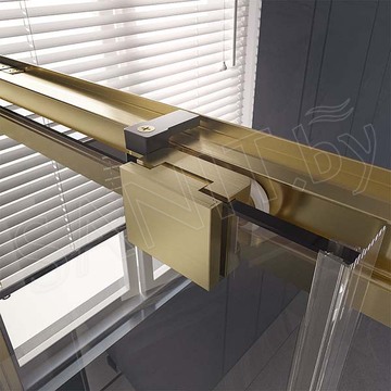 Душевая дверь Veconi Premium Trento PTD-30G
