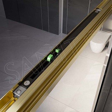 Душевая дверь Veconi Premium Trento PTD-30G