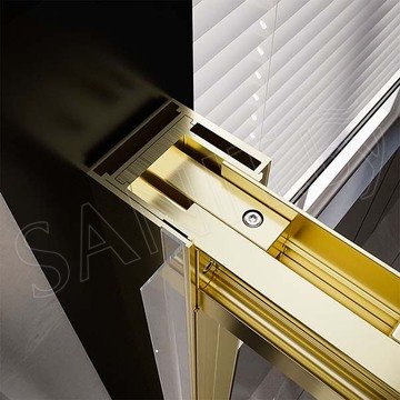 Душевая дверь Veconi Premium Trento PTD-30G