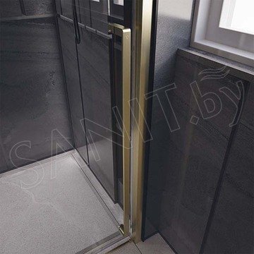 Душевая дверь Veconi Premium Trento PTD-30G
