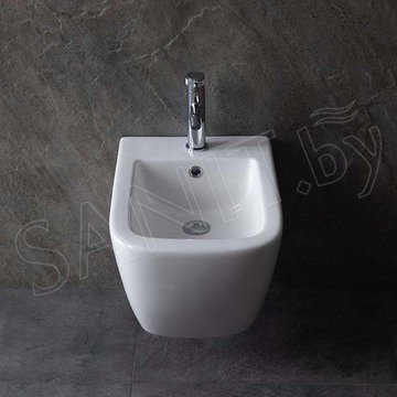 Подвесное биде Allen Brau Infinity 4.21006.20