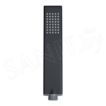 Душевая лейка Allen Brau Infinity 5.21022-31