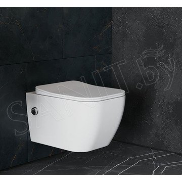 Комплект инсталляции Geberit Duofix с панелью смыва Delta 21 и подвесным унитазом Roxen Cube Bidet 530135-01X с функцией биде