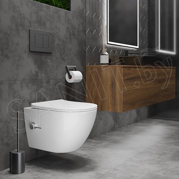 Подвесной унитаз Roxen Antares Bidet 530185-01X Rimless Soft Close с функцией биде