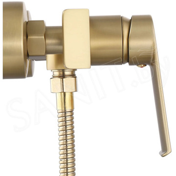 Смеситель для душа Rea Hass Gold Matt REA-B6403
