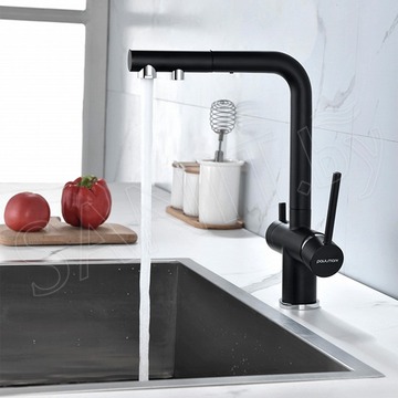 Смеситель для кухонной мойки Paulmark Serpentine Se213222-401(AN) с подключением к фильтру воды