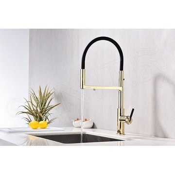 Смеситель для кухонной мойки Paulmark Tornado To213402-G / To213402-BG с подключением к фильтру воды