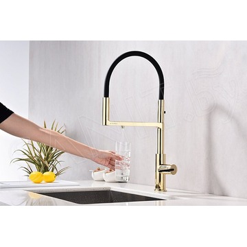 Смеситель для кухонной мойки Paulmark Tornado To213402-G / To213402-BG с подключением к фильтру воды