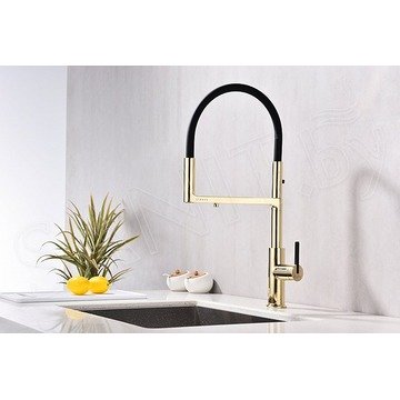 Смеситель для кухонной мойки Paulmark Tornado To213402-G / To213402-BG с подключением к фильтру воды
