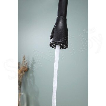 Смеситель для кухонной мойки Paulmark Lange La214212-418 с подключением к фильтру воды