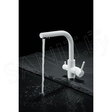 Смеситель для кухонной мойки Paulmark Essen Es213011-431TW(WH) / Es213011-BE с подключением к фильтру воды