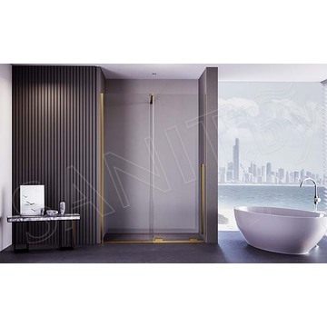 Душевая дверь Veconi Premium Trento PTDW-50G