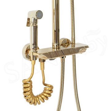 Душевая стойка Rea Max Gold REA-P6617