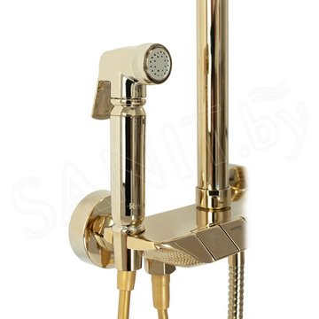 Душевая стойка Rea Max Gold REA-P6617