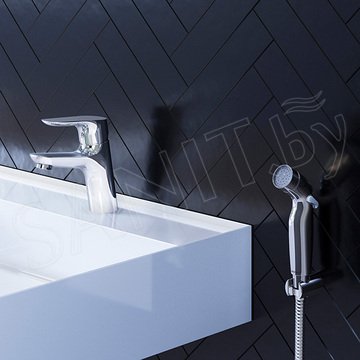 Смеситель для умывальника Damixa Jupiter 770300001 с гигиеническим душем