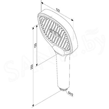 Душевая лейка Damixa Merkur 940020300