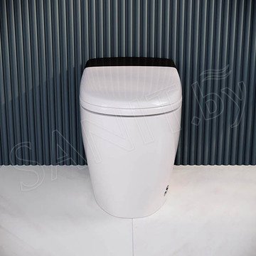Умный приставной унитаз RGW SW-30 с функцией биде