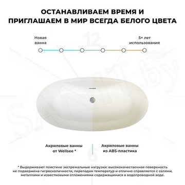 Акриловая ванна Wellsee L’aster 236301003