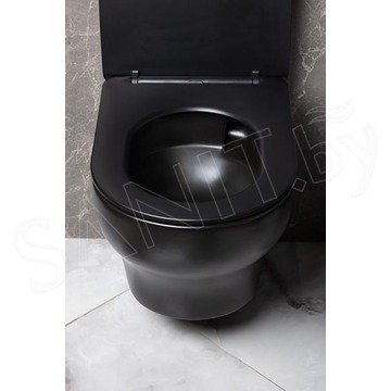 Подвесной унитаз Boheme Fiore 978-SET-B