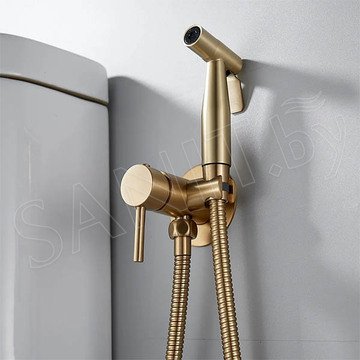 Комплект инсталляции 8 в 1 Roxen StounFix Dual Fresh 968460-5 c гигиеническим душем Shevanik брашированное золото