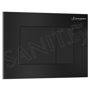Комплект инсталляции Asten Readle Zentralmodul AR0601-1065B с кнопкой и унитазом